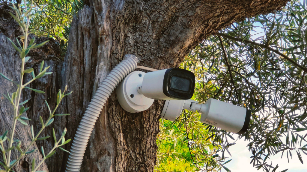 OutdoorVideoSurveillanceCamera