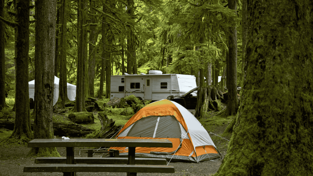 Campground in Wildnerness Still Connected to Internet