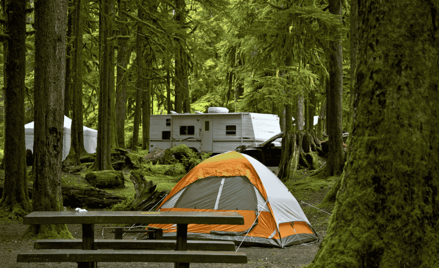 Campground in Wildnerness Still Connected to Internet