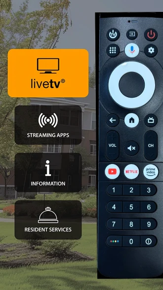 IPTV Screen with remote control
