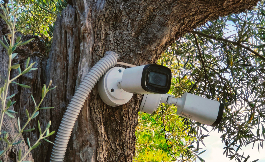 OutdoorVideoSurveillanceCamera